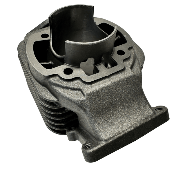 Polini Evolution Cylinder kit - Minarelli Vertical