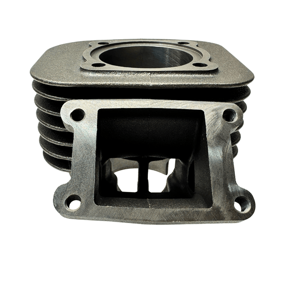 Polini Evolution Cylinder kit - Minarelli Vertical